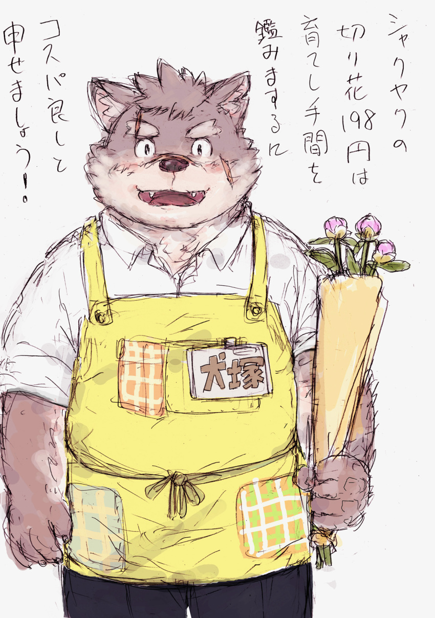 anthro apron blush bouquet canid canine canis clothing domestic_dog eyebrows flower fur grey_body grey_fur hi_res japanese_text lifewonders male mammal moritaka plant scar slightly_chubby solo takakei1 text thick_eyebrows tokyo_afterschool_summoners