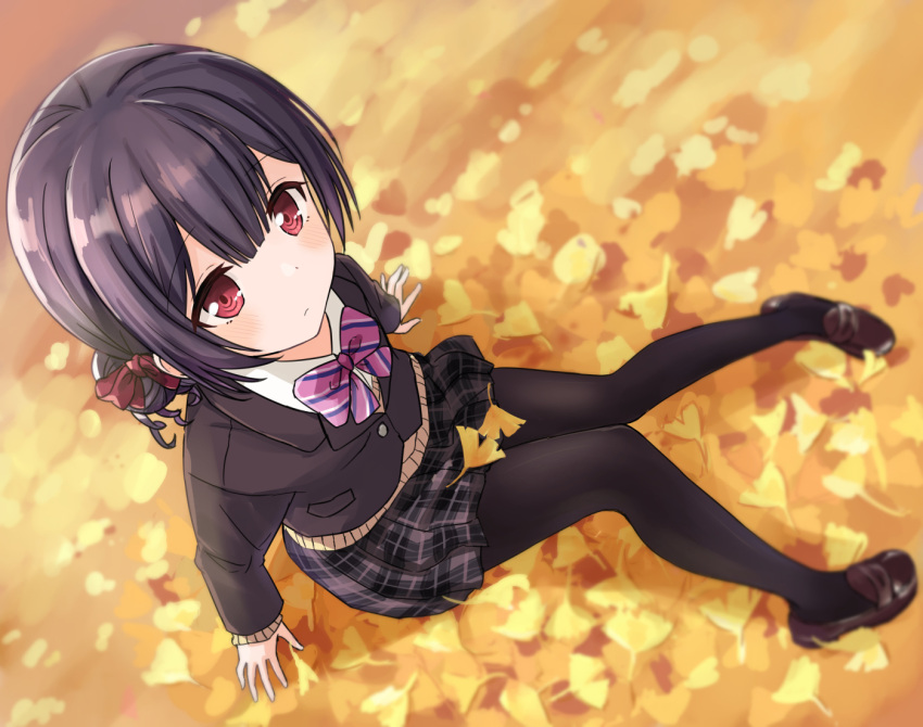 1girl arm_support autumn black_hair black_pantyhose blush bow bowtie brown_jacket brown_skirt cardigan closed_mouth dot_nose eluthel full_body ginkgo hair_between_eyes hair_bow hair_ribbon idolmaster idolmaster_shiny_colors jacket knees_together_feet_apart knees_up loafers long_sleeves looking_at_viewer looking_up morino_rinze outdoors pantyhose pink_bow pink_bowtie plaid plaid_bow plaid_bowtie plaid_skirt pleated_skirt red_eyes red_ribbon ribbon school_uniform shirt shoes short_hair sitting skirt solo white_shirt yellow_cardigan