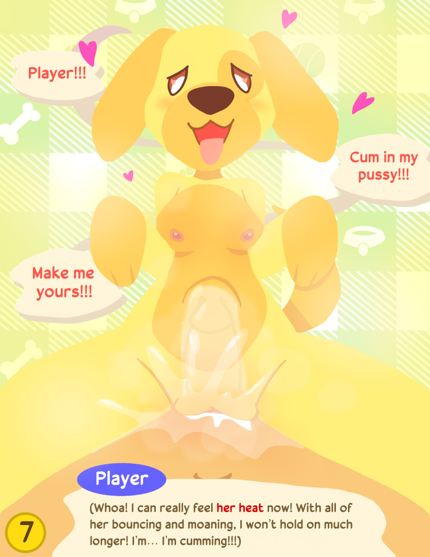 &lt;3 abdominal_bulge absurd_res animal_crossing animal_humanoid anthro begging begging_pose bird_dog bodily_fluids breasts canid canid_humanoid canine canine_humanoid canis cum cum_in_pussy cum_inside domestic_dog duo female female_on_top fur genital_fluids genitals golden_retriever goldie_(animal_crossing) hi_res human humanoid hunting_dog internal internal_vaginal labrador male male/female male_on_bottom mammal mammal_humanoid model_sheet nintendo nipples nude on_bottom on_top open_mouth orgasm pose pussy pussy_juice retriever screaming starzsparklez steam tongue tongue_out vaginal_orgasm villager_(animal_crossing) yellow_body yellow_fur