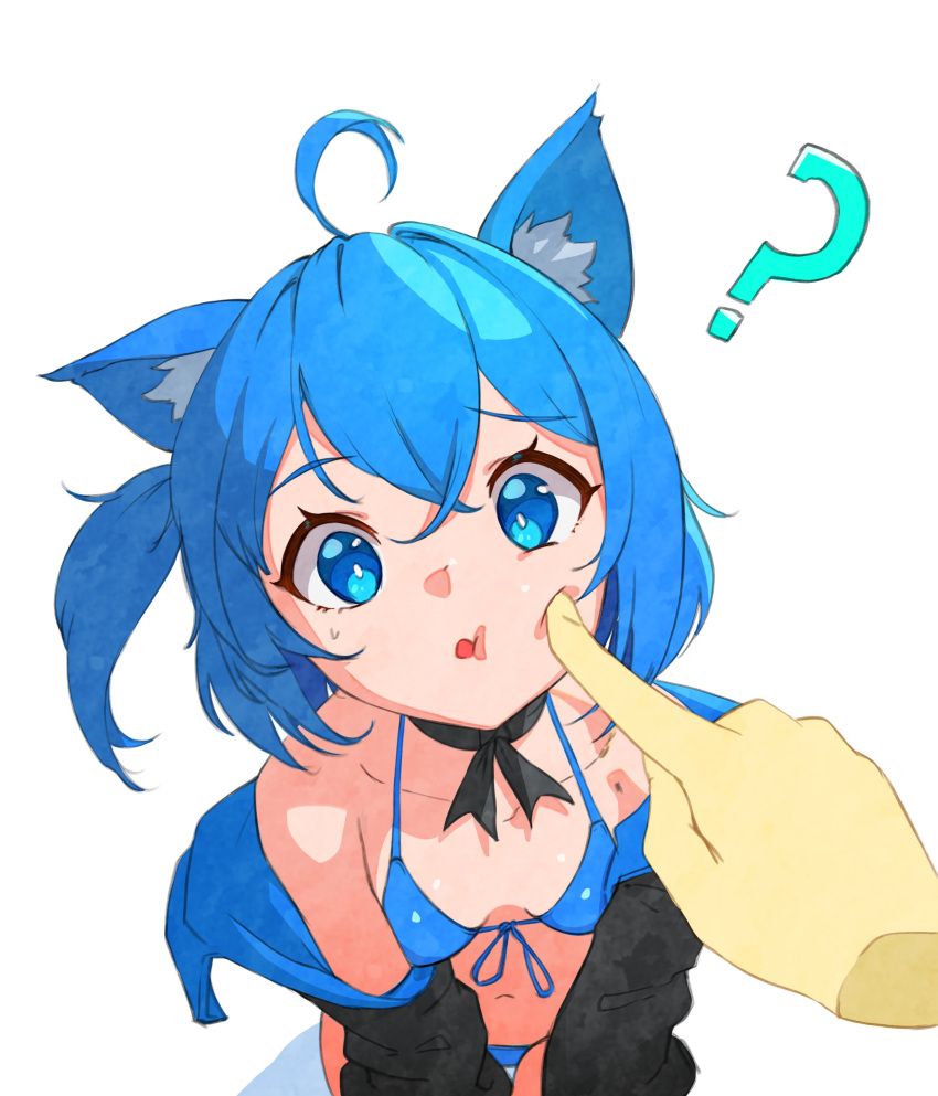 1girl ? absurdres ahoge animal_ear_fluff animal_ears bare_shoulders bikini black_jacket blue_bikini blue_eyes blue_hair botro breasts breasts_apart bright_pupils cheek_poking disembodied_limb feet_out_of_frame from_above halterneck highres jacket long_sleeves looking_at_viewer navel off_shoulder one_side_up open_clothes open_jacket original poking short_hair simple_background small_breasts solo string_bikini sweatdrop swimsuit white_background white_pupils