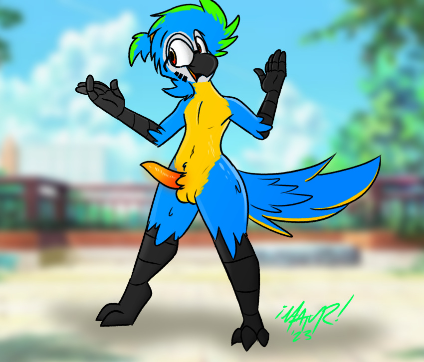 anthro ara_(genus) avian avian_feet belly big_tail bioluminescence bird blue-and-yellow_macaw blue_body casual_exposure casual_nudity exhibitionism eyewear facial_markings feathers genitals girly glasses glowing gradient_penis green_highlights hair happy head_markings hi_res highlights_(coloring) macaw male markings meatyr mitchell_(meatyr) neotropical_parrot nonchalant orange_eyes orange_penis orange_tongue parrot penis ponytail public public_nudity round_glasses simple_background smile solo tail tail_feathers tapering_penis thick_thighs tongue true_parrot yellow_belly