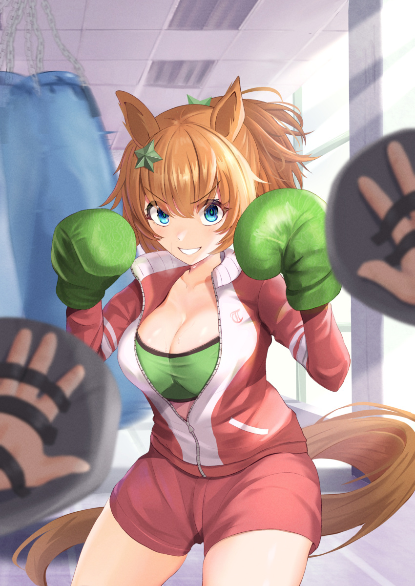 animal_ears blue_eyes blurry blurry_foreground boxing_gloves breasts cleavage cowboy_shot grin hair_between_eyes highres horse_ears horse_girl horse_tail indoors jacket large_breasts narrowed_eyes orange_hair partially_unzipped ponytail pov pov_hands punching_bag short_shorts shorts shuten_(shutehaan) smile sports_bra starfish_hair_ornament taiki_shuttle_(umamusume) tail track_jacket training umamusume