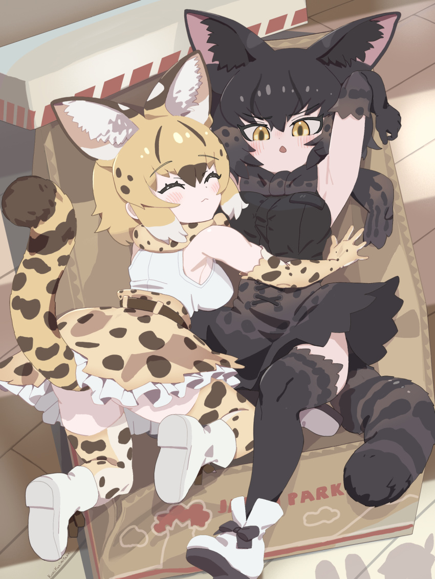 2girls all_fours animal_ear_fluff animal_ears animal_print armpits ass bare_shoulders black_hair black_serval_(kemono_friends) blonde_hair blush bow bowtie box breasts brown_hair cardboard_box closed_eyes closed_mouth extra_ears from_above front-tie_top full_body gloves high-waist_skirt highres indoors kemono_friends kunikuni_(kunihiro2005) looking_at_another lying medium_hair multicolored_hair multiple_girls on_back on_box parted_lips print_bow print_bowtie print_gloves print_scarf print_skirt print_thighhighs scarf serval_(ex4)_(kemono_friends) serval_print shadow shirt shoes skirt sleeveless sleeveless_shirt tail thighhighs underbutt v-shaped_eyebrows wooden_floor yellow_eyes zettai_ryouiki