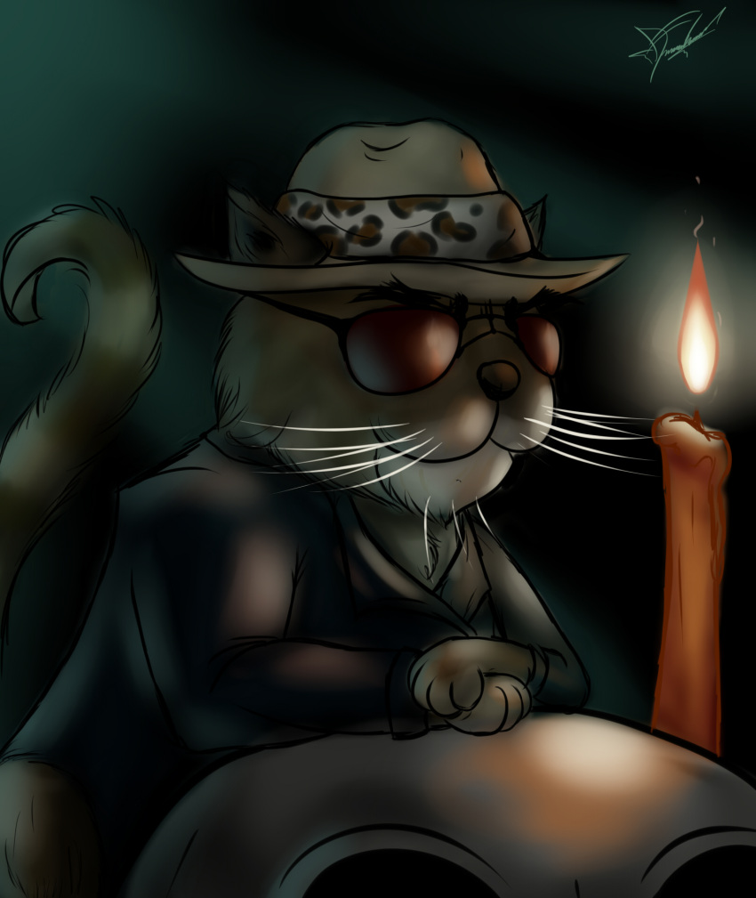 bleak_ambiance bone brown_hair candle clothing deathsrose1996 domestic_cat dross_rotzank eyewear felid felidae feline felis feral hair hat headgear headwear hi_res jacket leather leather_clothing leather_jacket leather_topwear male mammal skull skull_head solo sunglasses topwear whiskers