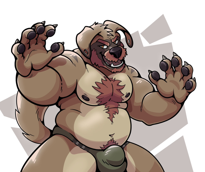 2023 action_pose amiles anthro beard belly body_hair briefs brown_body brown_fur bulge canid canine canis chest_hair clawstar_wrestling clothing detailed_bulge domestic_dog ear_piercing facial_hair fur gauged_ear hi_res male mammal musclegut muscular muscular_anthro muscular_male paws piercing pose slightly_chubby solo tremor_(clawstar_wrestling) underwear wrestling_briefs