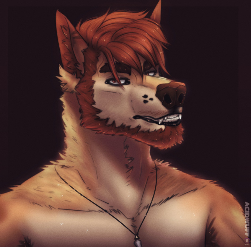 2021 acidwuff anthro artist_name beard brown_background brown_nose bust_portrait canid dated facial_hair fangs front_view fur hair hi_res jewelry looking_at_viewer male mammal neck_tuft necklace orange_beard orange_body orange_fur orange_hair portrait red_eyes simple_background solo tan_body tan_fur teeth tuft