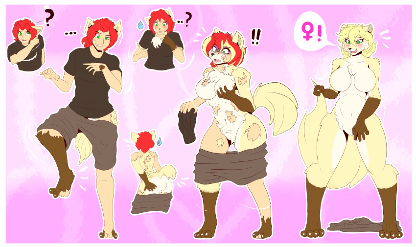 absurd_res anthro big_breasts blonde_hair border breast_growth breasts brown_body brown_fur canid canine clovis_(twokinds) colored female fox fur gender_transformation growth hair hi_res holding_breast human korick17 male mammal mtf_transformation red_hair solo species_transformation surprised_expression tail tail_growth thick_thighs transformation white_border yellow_body yellow_fur