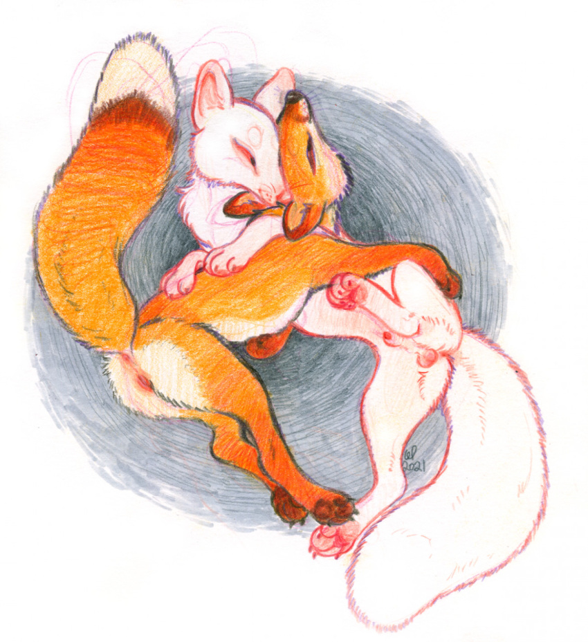 albino animal_genitalia anus canid canine cuddling duo female fox fully_sheathed genitals hi_res male male/female mammal pussy sheath solomonfletcher traditional_media_(artwork)