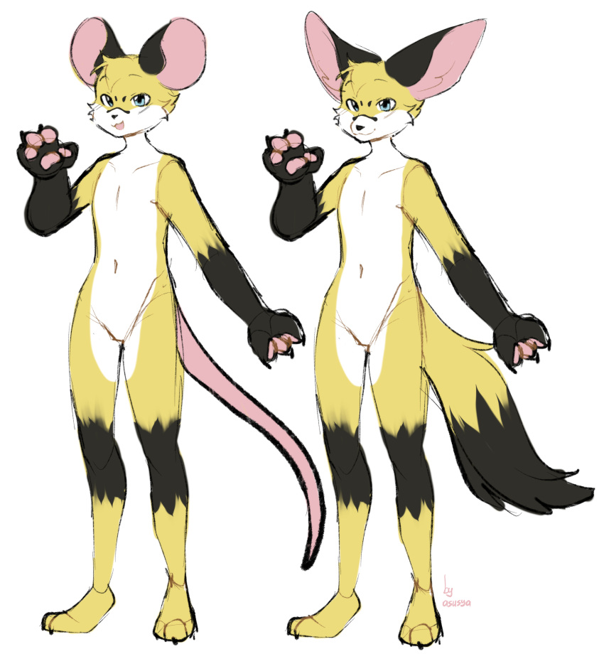 absurd_res anthro asusya belly big_ears black_body black_ears black_fur black_hands blue_eyes canid canine duo fennec fox fur hi_res male mammal mouse multicolored_body multicolored_fur multicolored_tail murid murine mysh_(prussian_mouse) paws rodent tail white_belly white_body white_fur yellow_body yellow_fur