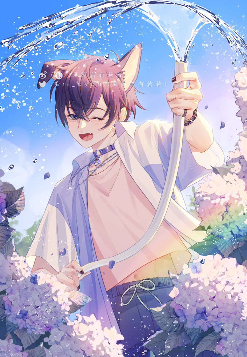1boy absurdres animal_ears blue_shorts dog_ears earrings flower highres holding holding_hose hose indie_virtual_youtuber jacket jewelry male_focus midriff navel one_eye_closed open_mouth purple_eyes purple_hair rr_ayan short_hair shorts shoto_(vtuber) smile solo stomach virtual_youtuber water_drop white_jacket