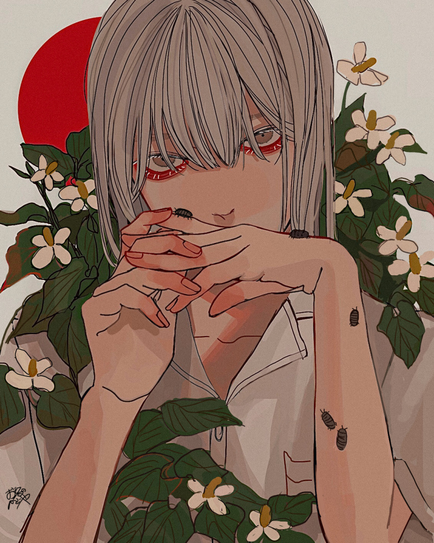 1boy animal_on_arm animal_on_hand bishounen breast_pocket brown_eyes bug collared_shirt covering_mouth fingernails fish_mint_(plant) flower grey_hair hair_between_eyes hands_up highres isopod kagoya1219 leaf long_bangs looking_at_viewer medium_hair original own_hands_together pillbug plant pocket sanpaku shirt short_sleeves signature solo white_background white_flower white_hair white_shirt