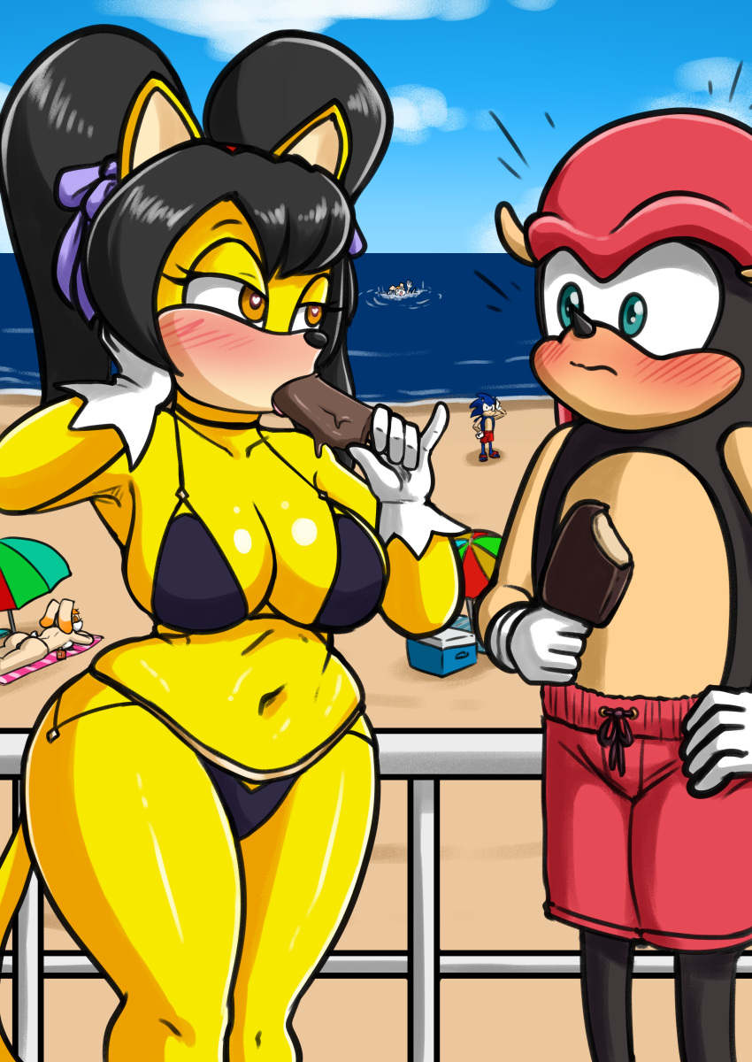 absurd_res anthro armadillo beach big_breasts blue_body blue_fur blush breasts butt clothing cream_the_rabbit eulipotyphlan felid feline female food fur gloves group hair handwear hedgehog hi_res honey_the_cat lagomorph leporid male male/female mammal mature_anthro mature_female mighty_the_armadillo oni_senpai_art popsicle rabbit seaside sega smile sonic_the_fighters sonic_the_hedgehog sonic_the_hedgehog_(series) sucking swimming_trunks swimwear vanilla_the_rabbit xenarthran yellow_body yellow_fur