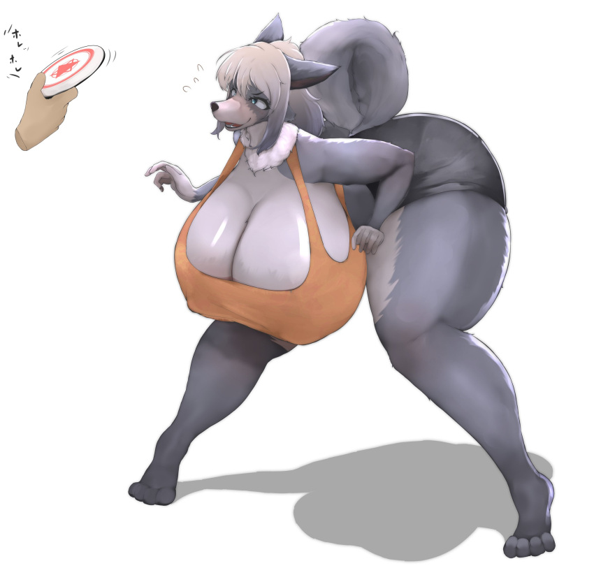 ambiguous_gender anthro bent_over big_breasts black_nose blue_eyes bottomwear breasts canid canine canis clothing curled_tail curvy_figure disembodied_hand domestic_dog duo ears_back eyelashes female frisbee fur grey_body grey_fur grey_hair hair hanging_breasts hi_res huge_breasts human looking_at_object mammal orange_clothing orange_shirt orange_topwear pivoted_ears shadow shirt shiruhiya shorts simple_background standing tail thick_thighs topwear voluptuous white_background wide_hips