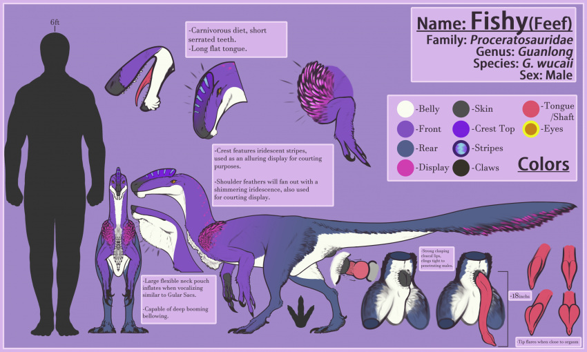 animal_genitalia biped claws cloaca cloacal cloacal_penetration color_swatch countershade_face countershade_torso countershading dinosaur english_text feathered_dinosaur feathers feef_(fishtits) feral fishtits genitals guanlong hi_res knot male male/male male_penetrated male_penetrating male_penetrating_male model_sheet open_mouth penetration penile penile_penetration penis penis_in_cloaca reptile scalie sex tail text tongue