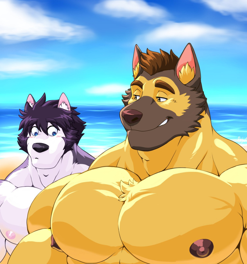 2022 after_class anthro beach beard big_pecs blue_eyes blush blush_lines brown_hair brown_nipples canid canine canis cloud domestic_dog duo facial_hair five_o'clock_shadow fur german_shepherd gil_(after_class) gilbert_learnard hair herding_dog hi_res looking_at_another looking_at_partner looking_down male mammal multicolored_body multicolored_fur muscular muscular_anthro muscular_male nipples pastoral_dog pecs pink_nipples purple_body purple_fur purple_hair rujirublkdragon sea seaside shirtless smug_face titandraugen two_tone_body two_tone_fur walter_(after_class) walter_graham water white_body white_fur wolf yellow_body yellow_eyes yellow_fur