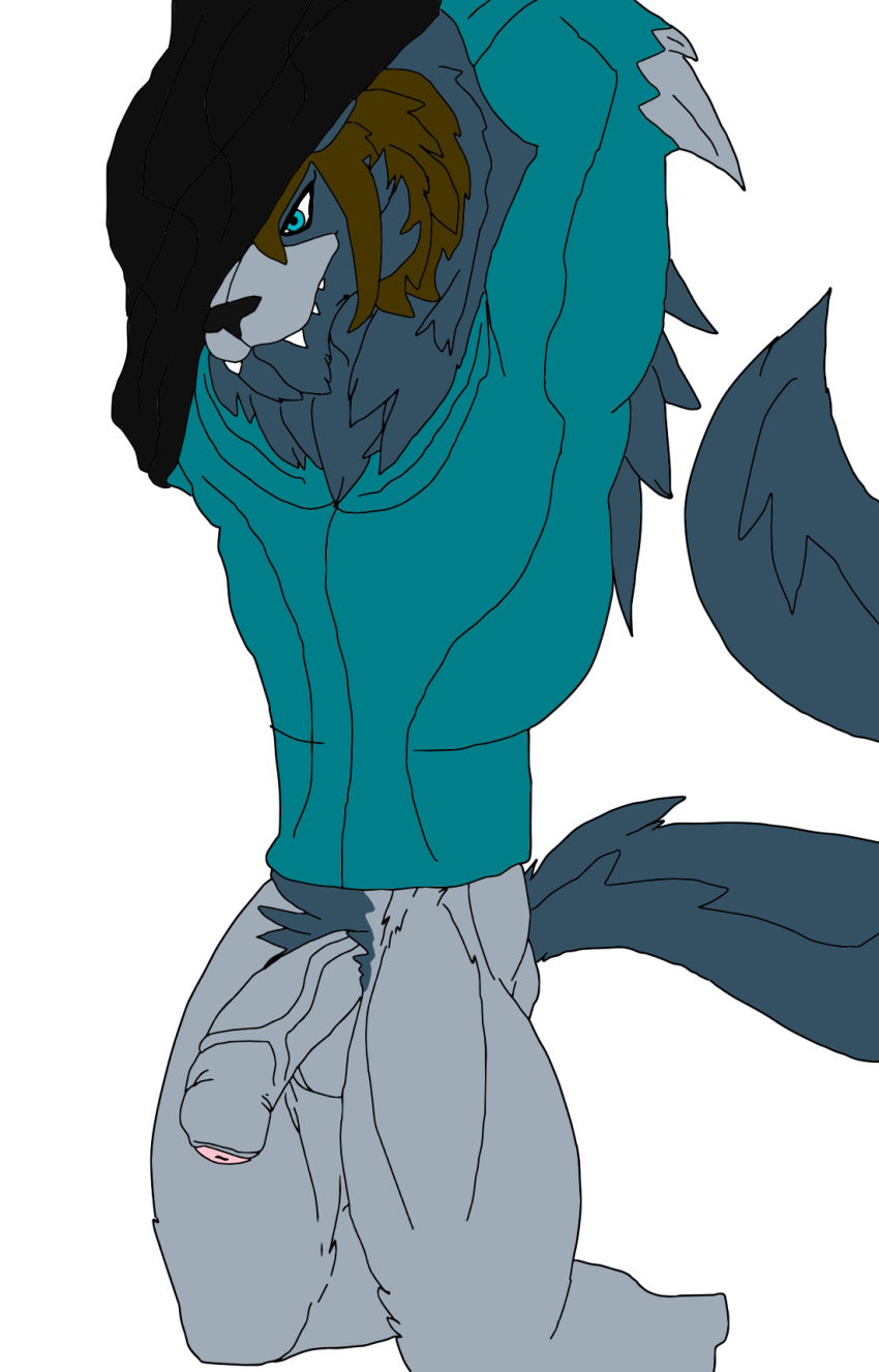 anthro axelo1500_(artist) axelo_(character) ben_10 big_penis big_snout black_clothing black_jacket black_topwear blitzwolfer blue_eyes brown_hair canid canine canis cartoon_network clothing fangs genitals hair hi_res jacket loboan long_hair long_tail male mammal penis solo spikes tail teeth topwear turquoise_clothing wolf