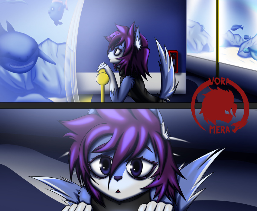 amazed anthro aquarium blue_body blue_fur canid clothed clothing comic_panel eyelashes fish fur hair hi_res humanoid male mammal marine purple_eyes purple_hair sammy(voramera) solo vivarium voramera young