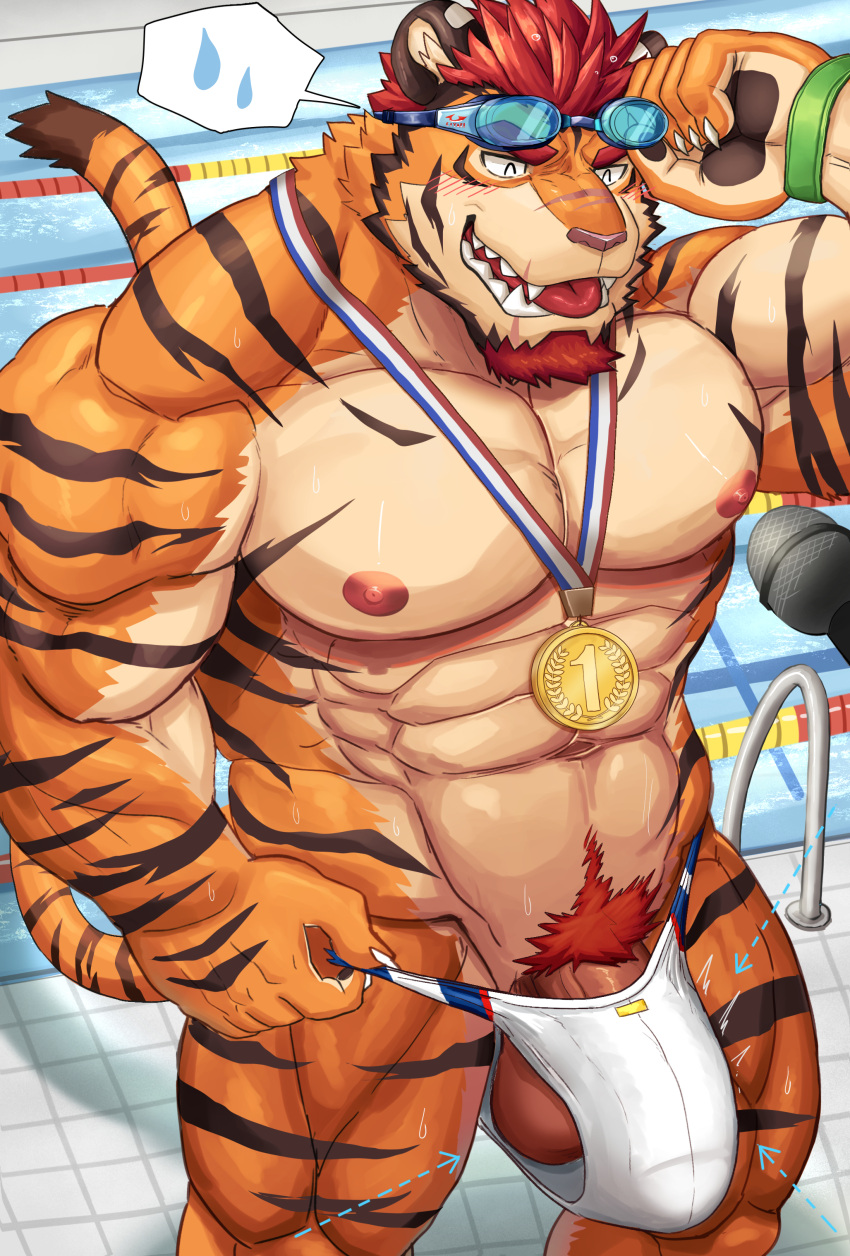 absurd_res anthro balls clothing felid genitals gold_medal hi_res male mammal medal miazuma_shouki microphone pantherine penis solo speedo swimming_goggles swimming_pool swimwear tiger