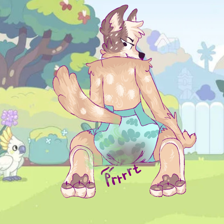 anthro bluey_(series) bodily_noises canid canine canis chilli_heeler clothed clothing diaper diaper_fetish diaper_only diaper_use digital_media_(artwork) diximmo domestic_dog english_text fart feces female full_diaper fur hair hi_res kneeling looking_back mammal messing messing_diaper messy_diaper onomatopoeia pooping rear_view scat smile soiled_diaper soiling soiling_diaper solo sound_effects tail text topless wearing_diaper