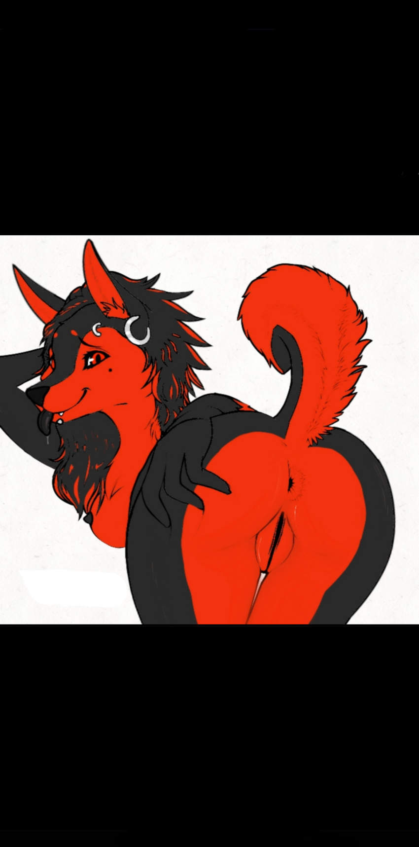 absurd_res anthro anus black_body black_nose breasts butt canid canine canis ears_up female fluffy fluffy_tail fur genitals hair hepicant hi_res long_ears mammal piercing pose pussy raised_tail red_body red_eyes smiley_face solo spiked_ears tail wolf zoe_(nnecgrau)