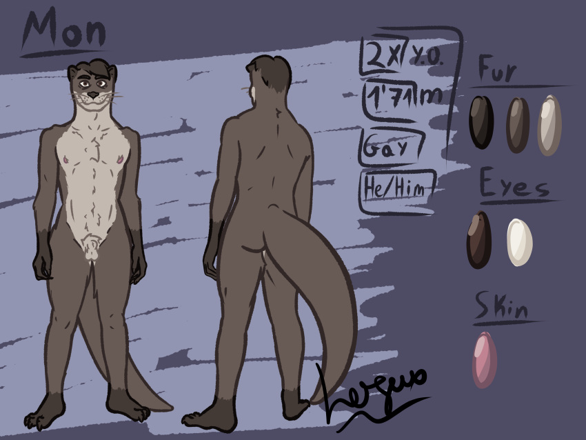 4:3 absurd_res animal_genitalia anthro athletic balls claws fan_character fully_sheathed furry_body genitals hi_res logax52 male mammal model_sheet mustelid nipples original_character_do_not_steal otter plantigrade pubes sheath solo tail thick_tail whiskers