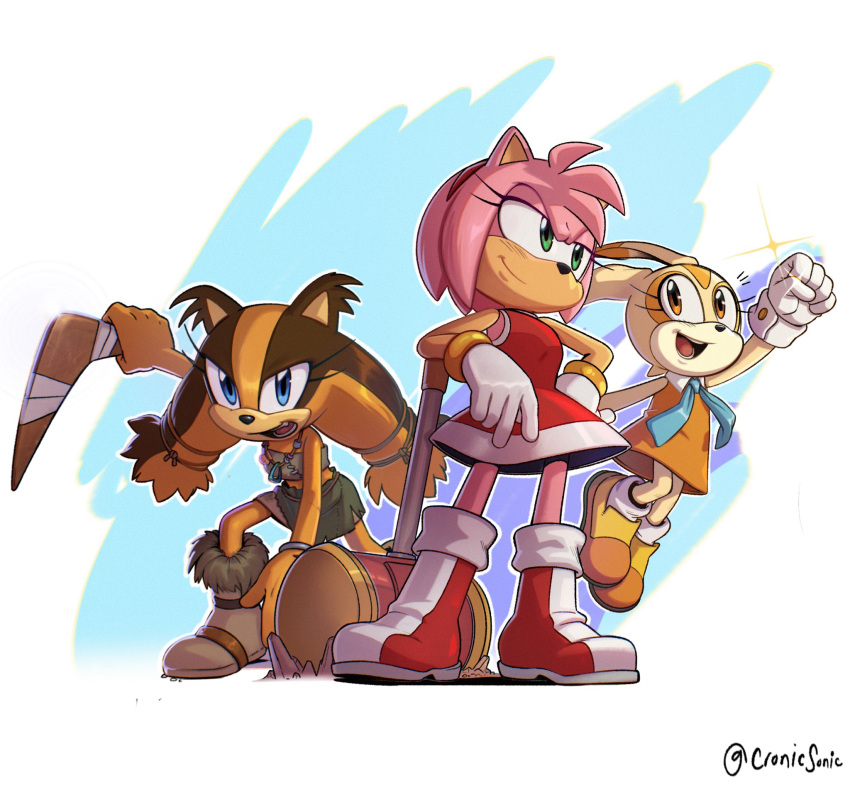 3girls amy_rose badger badger_girl blue_eyes brown_eyes cream_the_rabbit cronicsonic furry furry_female green_eyes hedgehog hedgehog_girl highres multiple_girls rabbit rabbit_girl sonic_(series) sticks_the_badger