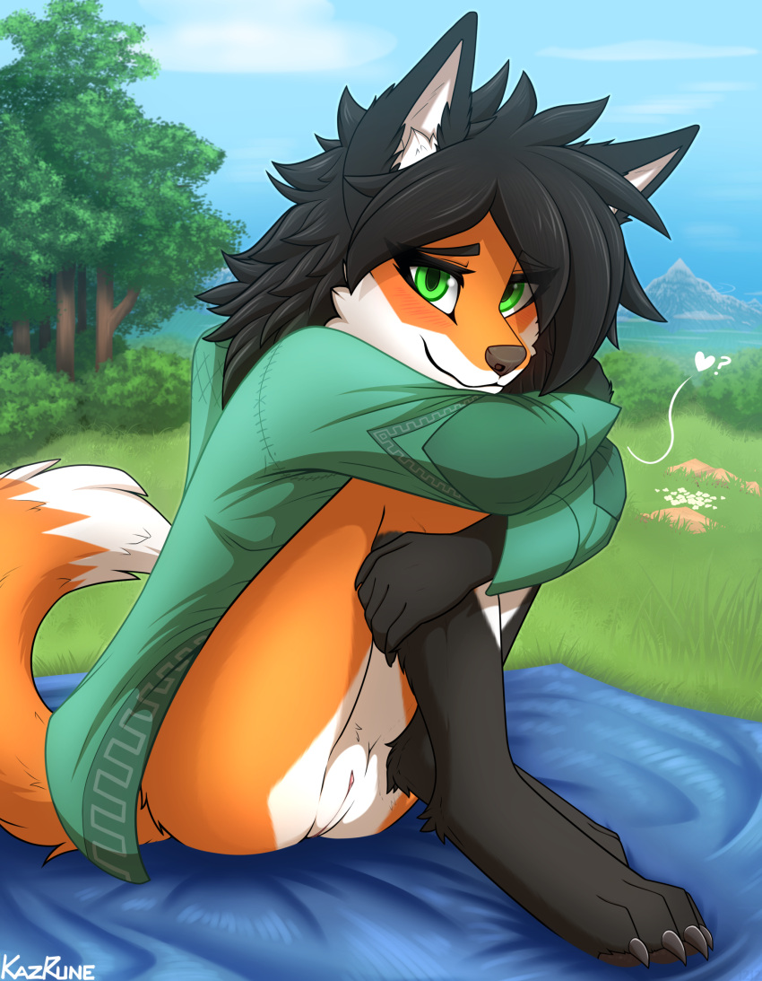 &lt;3 absurd_res anthro bedding black_body black_fur black_hair blanket blush bottomless canid canine clothed clothing cloud feet female field flower forest fox fur genitals grass green_eyes hair hand_on_legs hi_res hoodie hugging_legs kazrune legs_together looking_at_viewer mammal mountain nails orange_body orange_fur outside partially_clothed paws plant presenting presenting_pussy pussy question_mark rock shrub sitting sky smile solo tail topwear tree valkyrie_(kazrune) white_body white_fur