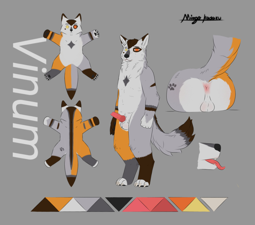 anthro anus balls butt canid canine chubby_male fox genitals heterochromia hi_res male mammal mingo_kodoku model_sheet open_mouth penis slightly_chubby solo