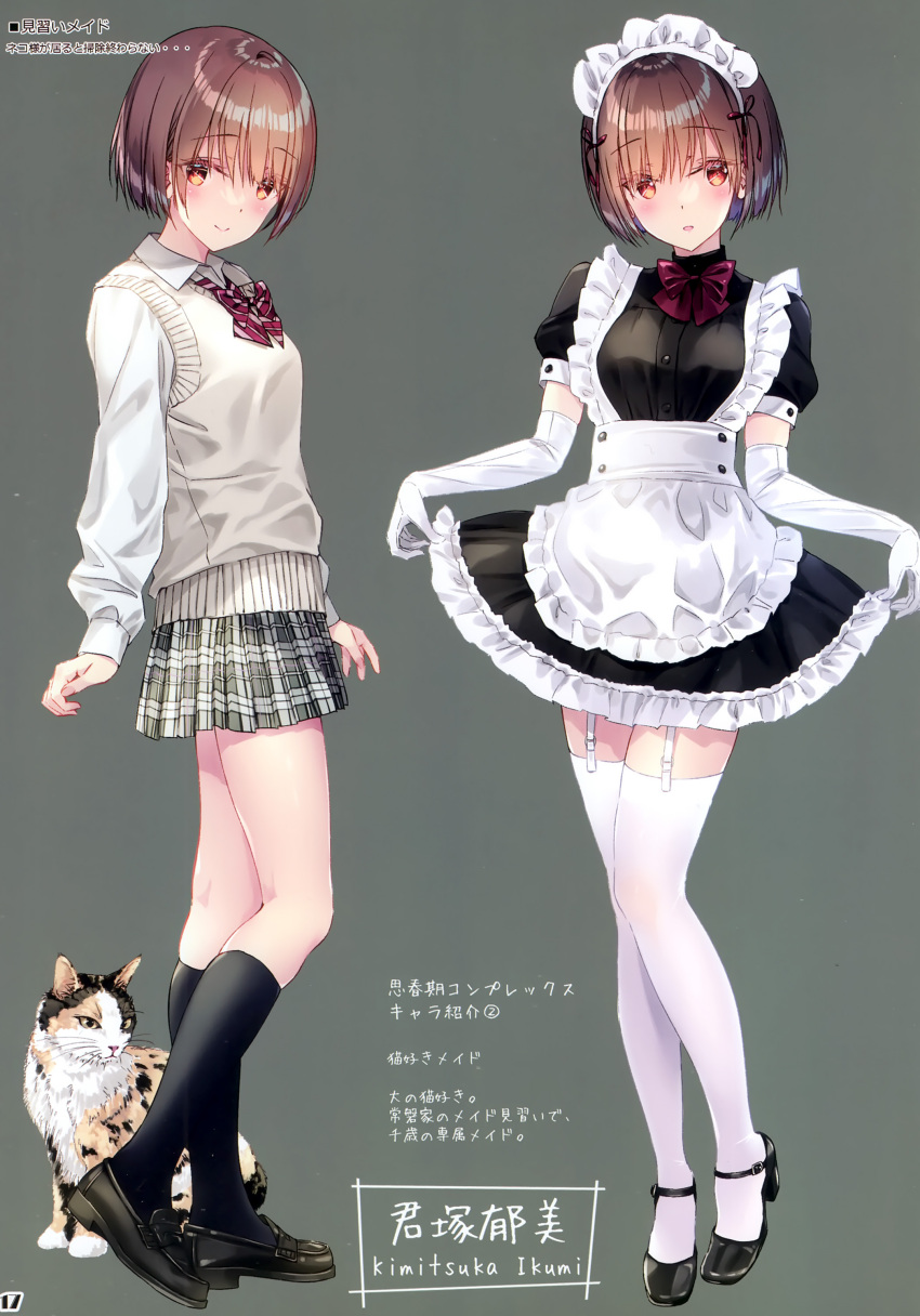 1girl absurdres animal apron blush breasts brown_eyes brown_hair buttons cat character_name closed_mouth elbow_gloves frills garter_straps gloves grey_background hair_ornament highres holding kobayashi_chisato loafers long_sleeves looking_at_viewer maid maid_headdress multiple_views open_mouth original puffy_short_sleeves puffy_sleeves ribbon scan school_uniform shoes short_hair short_sleeves simple_background skirt skirt_hold small_breasts smile socks standing thighhighs waist_apron