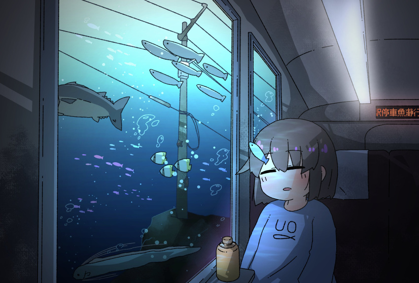 1girl absurdres air_bubble blue_shirt blush bottle brown_hair bubble butterflyfish caustics ceiling_light closed_eyes commentary fish fish_hair_ornament fluorescent_lamp hair_ornament highres kani_aji kani_aji-chan long_sleeves oarfish ocean on_chair open_mouth original power_lines print_shirt raised_eyebrows school_of_fish shirt short_hair sitting sleeping sleeping_upright solo starfish train_interior translation_request tropical_fish underwater utility_pole window