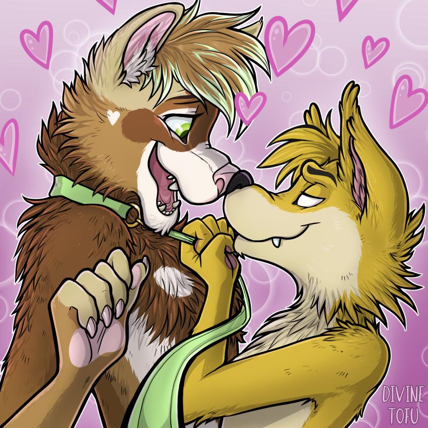 &lt;3 alex_ferret anthro canid canine collar divine_tofu domestic_ferret duo duo_focus eye_contact fehn_fennec fennec fox group hi_res humanoid leash looking_at_another love male male/male mammal mustelid musteline no_pupils nose_to_nose pink_background simple_background true_musteline weasel