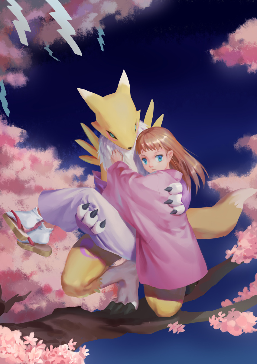 1girl 1other absurdres black_sclera blue_eyes brown_hair carrying cherry_blossoms colored_sclera digimon digimon_(creature) fox full_body hair_ornament hairpin hejia_abby highres in_tree japanese_clothes kimono long_hair looking_at_viewer makino_ruki outdoors pink_kimono pink_shawl princess_carry purple_eyes renamon sandals shawl socks tail tree white_socks yin_yang