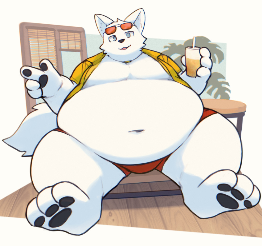 3_toes 4_fingers absurd_res anthro belly beverage big_belly blue_eyes bottomwear canid canine canis clothed clothing eyewear eyewear_on_head feet fingers fur hi_res huge_belly male mammal obese obese_anthro open_clothing open_shirt open_topwear overweight overweight_anthro shirt shorts sitting solo sunglasses sunglasses_on_head taka_fin9623 tight_clothing toes topwear white_body white_fur wolf
