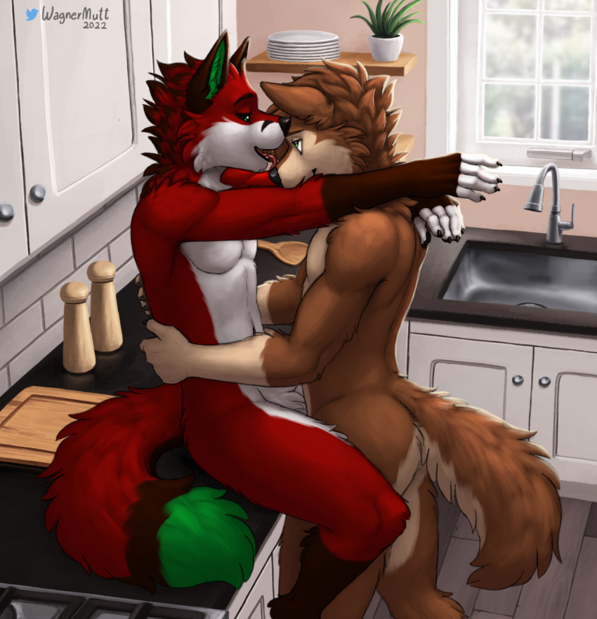 2022 affectionate anthro black_ears black_nose black_sclera brown_body brown_fur canid canine canis cutting_board dated detailed_background domestic_dog duo embrace eye_contact floorboards fox fur gloves_(marking) green_eyes green_inner_ear green_tail_tip head_tuft hi_res hug inside kitchen kitchen_cabinet kitchen_sink leg_markings licking_nose looking_at_another male male/male mammal markings mutt_(wagnermutt) pepper_mill plant plant_pot plate potted_plant red_body red_fur shelf signature sitting_on_counter socks_(marking) tuft victor_johansen wagnermutt window wooden_spoon