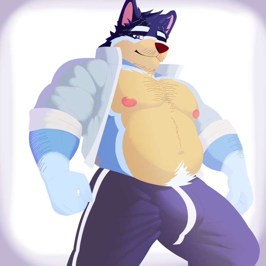 1:1 2d_(artwork) anthro arm_hair australian australian_cattle_dog bandit_heeler barazoku beard big_bulge blue_body blue_fur bluey_(series) body_hair bottomwear bulge canid canine canis cattledog chest_hair clothed clothing domestic_dog facial_hair father_(lore) fur hair hairy herding_dog hi_res jacket male male/male mammal mature_male musclegut muscular muscular_anthro muscular_male nipples open_clothing open_jacket open_topwear overweight pants parent_(lore) pastoral_dog pecs pose pubes slightly_chubby smile snout solo sweatpants topwear vaggo yellow_body yellow_fur