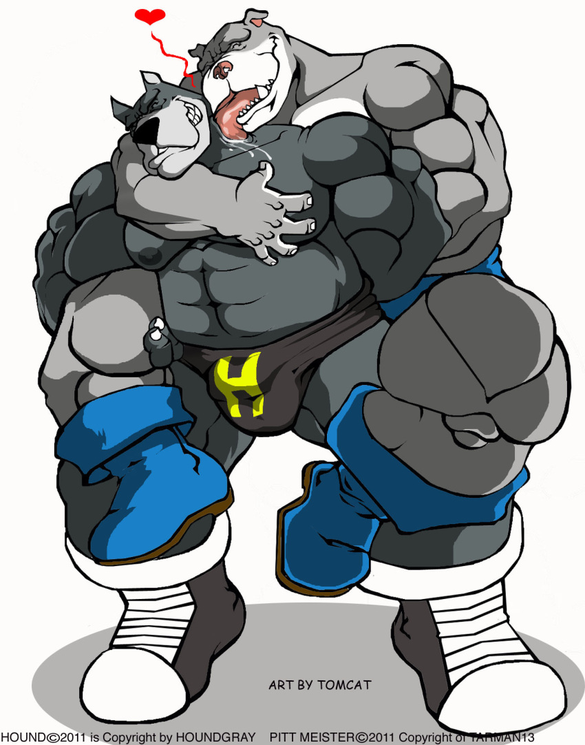 &lt;3 2011 anthro bulge canid canine canis clothing domestic_dog duo footwear grey_nipples hi_res hound_(character) licking male male/male mammal muscular muscular_male nipples pit_bull pitt_meister shoes tomcat_(artist) tongue tongue_out wrestler wrestling_briefs
