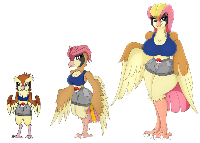 anthro beak big_breasts black_eyes blonde_hair bottomwear breasts brown_body clothing female generation_1_pokemon group hair hi_res huge_breasts nintendo pidgeot pidgeotto pidgey pokeball pokemon pokemon_(species) red_hair shirt shorts simple_background topwear trio urusee584 white_background wings