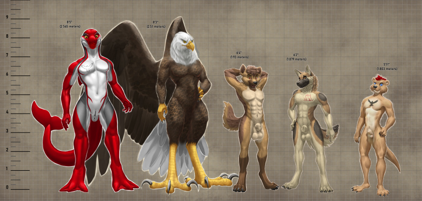 2023 absurd_res accipitrid accipitriform alcander amber_eyes animal_genitalia anthro athletic avian bald_eagle balls beak bird black_body black_fur black_nose black_skin blue_eyes brown_body brown_eyes brown_feathers brown_fur canid canine canis cetacean chart chest_tattoo digitigrade dolphin domestic_dog dorsal_fin dsw7 eagle feathered_wings feathers fin fur fur_markings genital_slit genitals german_shepherd grey_body grey_skin group hair hand_on_hip hands_behind_head height_chart height_comparison herding_dog hi_res hyena jarl_hyena krieg_gsd lontra looking_at_viewer male mammal marine markings membrane_(anatomy) muscle_tone mustelid north_american_river_otter oceanic_dolphin otter pastoral_dog paws plantigrade red_body red_hair red_skin river_otter scales schwartz_otter sea_eagle sheath siader size_difference slit smile smiling_at_viewer smirk smirking_at_viewer spots spotted_body spotted_fur spotted_hyena striped_dolphin tail tail_feathers tail_fin talon_hands talons tan_body tan_fur tattoo toned_muscles toothed_whale webbed_feet webbed_hands white_body white_feathers white_skin wings yellow_body yellow_eyes yellow_scales