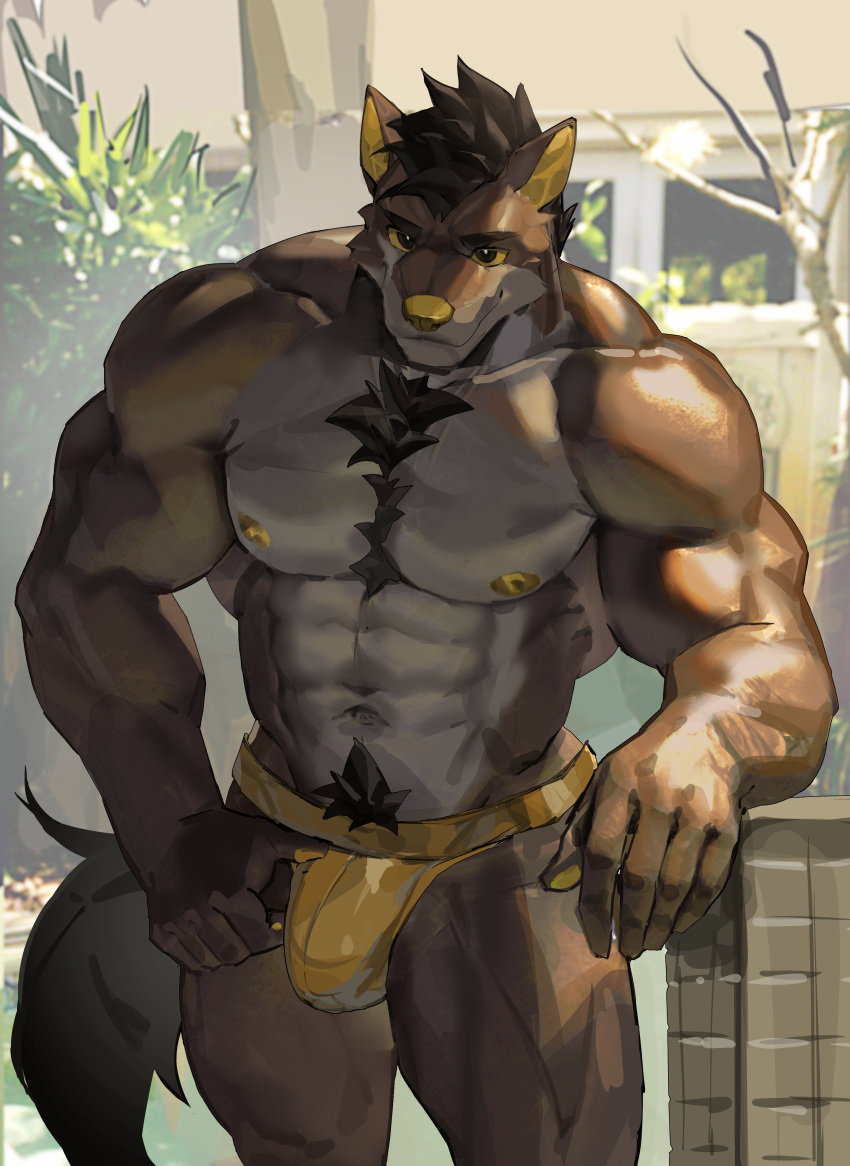 2022 abs absurd_res anthro biceps black_eyes black_hair body_hair brown_body brown_fur canid canine canis chest_tuft clothed clothing domestic_dog fur hair happy_trail hi_res jockstrap leaning_on_wall light male mammal navel nipples outside pantsless pawpads plant pubes re_baiz solo sunlight tile topless tree tuft underwear window yellow_clothing yellow_ears yellow_jockstrap yellow_nose yellow_pawpads yellow_sclera yellow_underwear