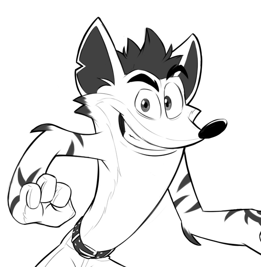 2022 4_fingers activision anthro bandicoot belt biped bottomwear clothed clothing crash_bandicoot crash_bandicoot_(series) eyebrows fingers fur grin half-length_portrait looking_at_viewer male mammal marsupial monochrome pants portrait simple_background sketch smile smiling_at_viewer solo spongebandimark topless white_background