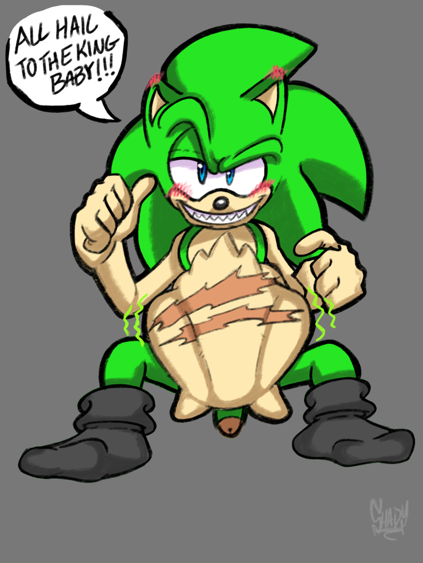 abdominal_bulge absurd_res anthro archie_comics belly clothing duo eulipotyphlan feet footwear hedgehog hi_res male male/male mammal rumbling_stomach scourge_the_hedgehog sega shadydaone soft_vore sonic_the_hedgehog sonic_the_hedgehog_(archie) sonic_the_hedgehog_(comics) sonic_the_hedgehog_(series) vore