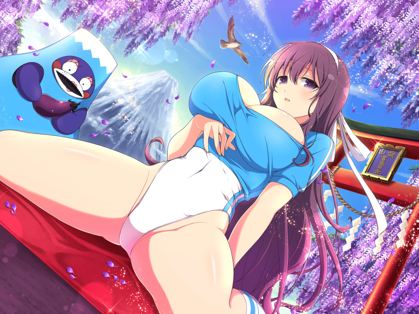 1girl :o architecture ass_visible_through_thighs bird blue_shirt blue_sky blush breast_hold breasts cleavage cloud covered_navel day east_asian_architecture eggplant exercise falling_petals food fruit groin groin_tendon hair_between_eyes hair_ribbon hawk highres holding holding_food holding_fruit huge_breasts leaf lens_flare leotard light_particles linea_alba long_hair looking_at_viewer mount_fuji mountain murasaki_(senran_kagura) official_alternate_costume official_art open_mouth outdoors petals plant purple_eyes purple_hair purple_leaves ribbon rope senran_kagura senran_kagura_new_link senran_kagura_shinovi_versus shide shimenawa shiny_skin shirt sitting sky socks solo sparkle spread_legs striped striped_leotard stuffed_animal stuffed_toy sunlight teddy_bear torii translation_request tree very_long_hair wariza white_leotard white_ribbon white_socks willow yaegashi_nan