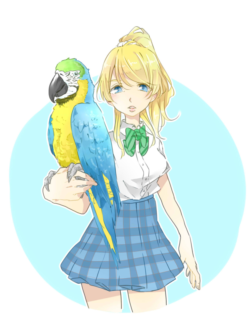 1girl ayase_eli bird bird_on_hand blonde_hair blue_background blue_eyes blue_skirt bow bowtie collared_shirt commentary_request cowboy_shot cropped_legs dress_shirt green_bow green_bowtie hair_between_eyes hair_ornament hair_scrunchie highres kashikaze looking_at_viewer love_live! love_live!_school_idol_project medium_hair otonokizaka_school_uniform outline parrot parted_lips plaid plaid_skirt pleated_skirt ponytail school_uniform scrunchie shirt shirt_tucked_in simple_background skirt solo striped striped_bow striped_bowtie two-tone_background white_background white_outline white_scrunchie white_shirt