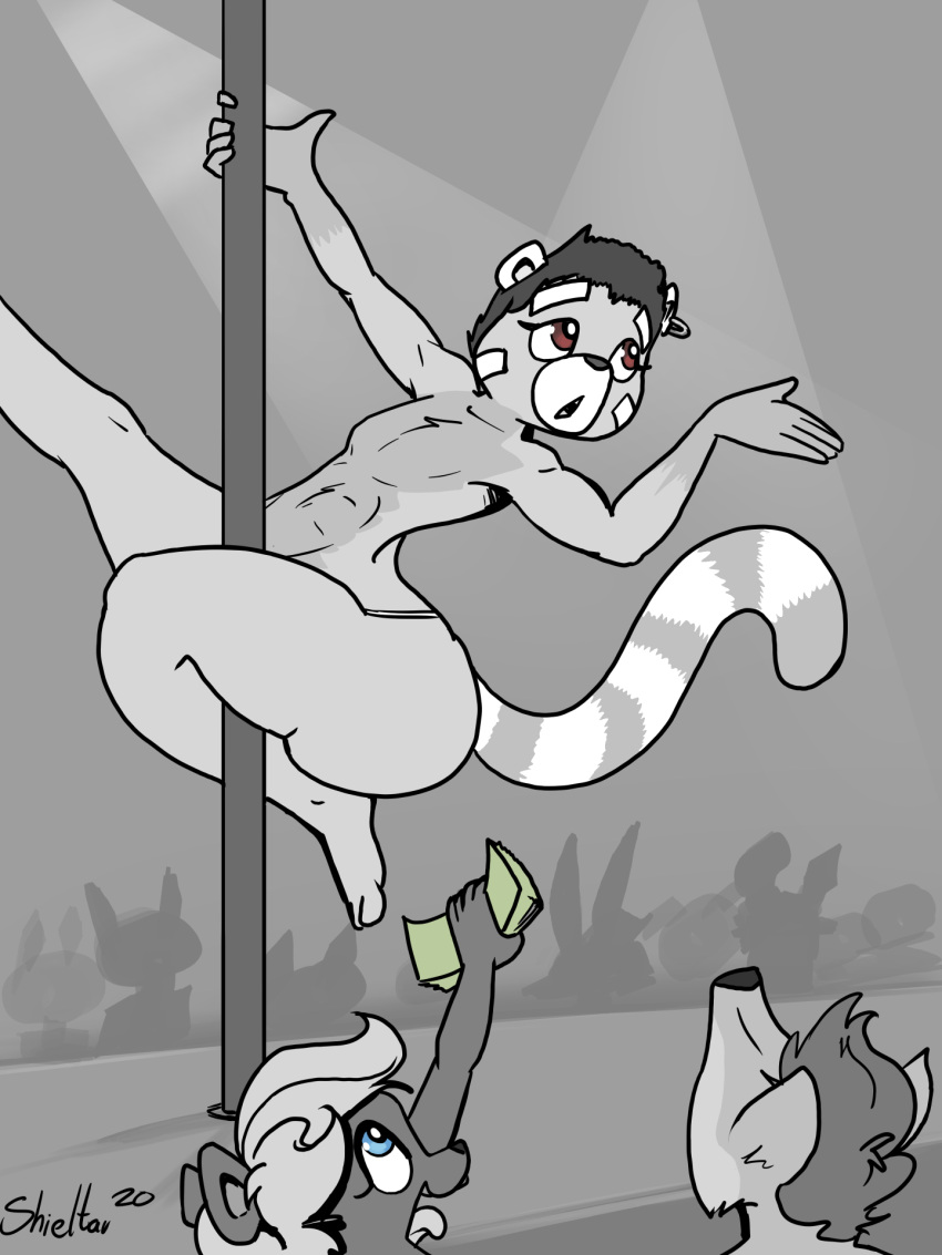 ailurid blue_eyes brown_eyes clothed clothing dancing girly hi_res mammal money navel open_mouth pole pole_dancing red_panda shieltar stripper_pole tongue topless