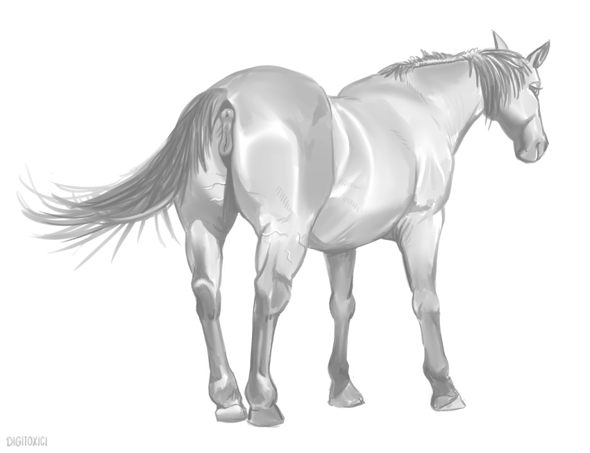 anatomically_correct anatomically_correct_anus anatomically_correct_genitalia anatomically_correct_pussy animal_genitalia animal_pussy anus butt digital_media_(artwork) digitoxici equid equine equine_anus equine_genitalia equine_pussy feral full-length_portrait genitals greyscale hi_res hooves horse looking_at_viewer mammal mane monochrome portrait pussy quadruped simple_background smile smiling_at_viewer standing