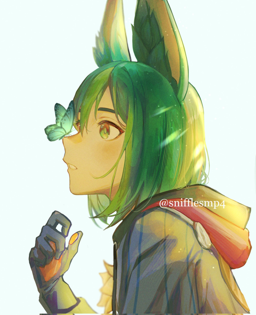 1boy animal_ear_fluff animal_ears artist_name black_gloves black_hair black_hoodie blue_butterfly blunt_ends blush brown_eyes brown_gloves bug butterfly butterfly_on_nose commentary drawstring english_commentary flower fox_boy fox_ears genshin_impact globes gloves green_eyes green_hair hair_between_eyes hand_up highres hood hood_down hoodie light_particles light_rays long_sleeves male_focus multicolored_eyes multicolored_hair parted_lips profile short_hair snifflesmp4 solo streaked_hair tighnari_(genshin_impact) twitter_username two-tone_gloves two-tone_hair upper_body yellow_flower