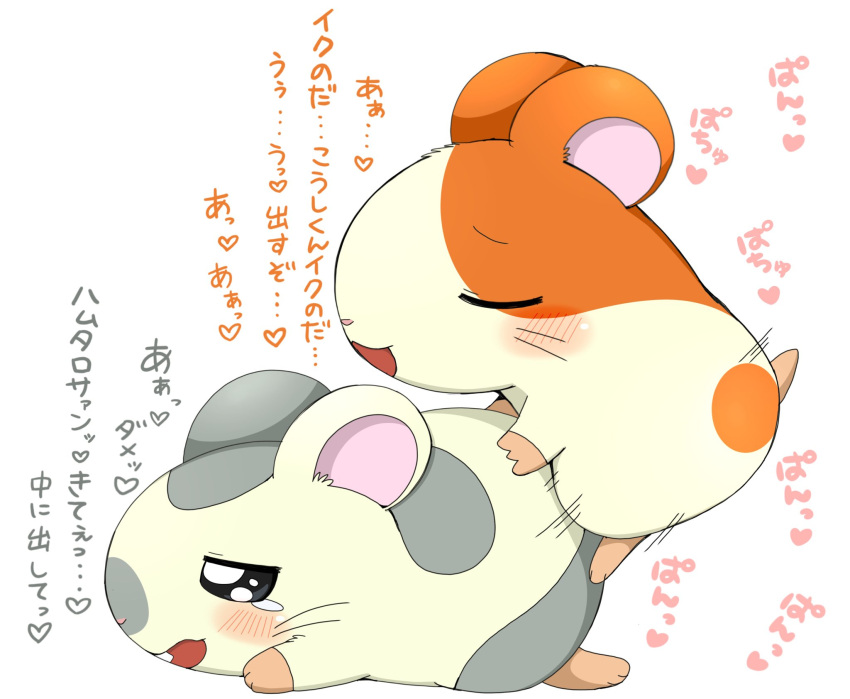 anal anal_penetration azuo blush bodily_fluids cricetid cum_inside_request duo feral feral_on_feral feral_penetrated feral_penetrating feral_penetrating_feral from_behind_position fur grey_body grey_fur hamster hamtaro hamtaro_(series) heart_after_text hi_res japanese_text male male/male male_penetrated male_penetrating male_penetrating_male mammal orange_body orange_fur oxnard_(hamtaro) penetration penile penile_penetration penis_in_ass rodent sex simple_background tan_body tan_fur tears text thrusting translation_request white_background