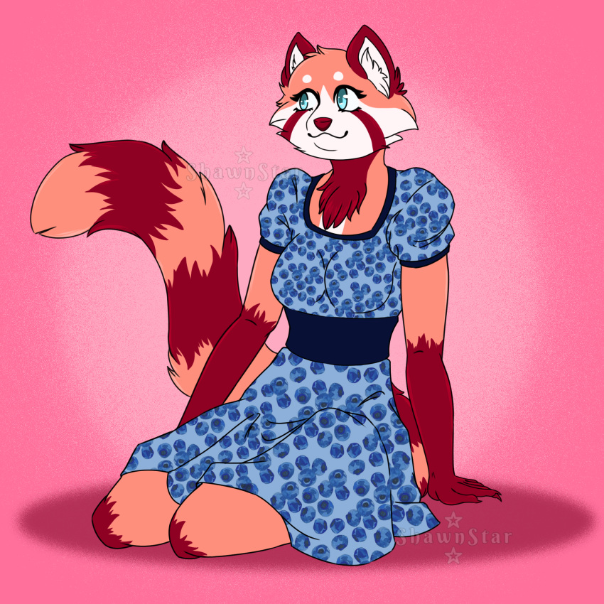 ailurid anthro blue_eyes blueberry_(fruit) breasts cheek_tuft claws clothed clothing digital_media_(artwork) dress facial_tuft female food fruit fur hi_res inner_ear_fluff long_tail mammal markings pink_background pink_body pink_fur plant red_body red_fur red_nose red_panda shawnstar simple_background smile solo solo_focus tail topwear tuft white_body white_fur