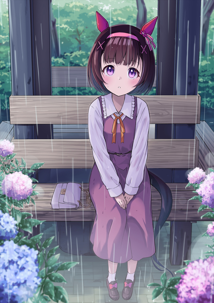 1girl animal_ears bag black_footwear brown_hair collared_shirt dress flower frilled_shirt_collar frills hair_ornament hairband highres horse_ears horse_girl horse_tail hydrangea long_sleeves looking_at_viewer murasaki_himuro neck_ribbon nishino_flower_(umamusume) open_mouth orange_ribbon outdoors pink_flower pink_hairband purple_dress purple_eyes purple_flower rain ribbon shirt shoes short_hair sitting_on_bench socks solo tail umamusume white_shirt white_socks x_hair_ornament