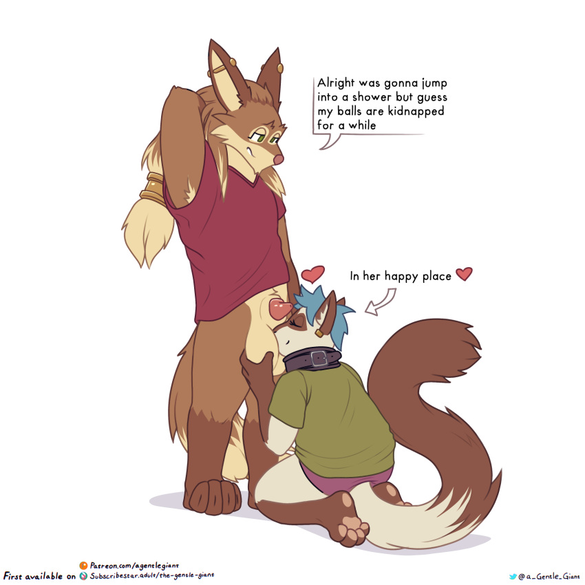 &lt;3 2023 accessory animal_genitalia animal_penis anthro anthro_on_anthro ball_fondling ball_sniffing balls big_balls biped blue_hair bottomless bottomless_anthro bottomless_male brown_body brown_fur brown_hair canid canine canine_genitalia canine_penis clothed clothing collar digital_media_(artwork) domestic_cat duo ear_piercing english_text eyelashes eyes_closed felid feline felis female fondling fur genitals green_clothing green_eyes green_shirt green_t-shirt green_topwear hair hair_accessory hair_ring hands_behind_head hermia_idril hi_res industrial_piercing inner_ear_fluff interspecies johnathan_o'cain kneeling male male/female mammal multicolored_body multicolored_fur multicolored_hair pawpads paws penile penis penis_tip piercing red_clothing red_penis red_shirt red_t-shirt red_topwear sheath shirt siamese simple_background sniffing standing t-shirt tan_balls tan_body tan_fur tan_hair tan_sheath text the_gentle_giant toony topwear trans_(lore) trans_woman_(lore) tuft two_tone_body two_tone_fur two_tone_hair were werecanid werecanine werewolf white_background white_body white_fur white_inner_ear_fluff